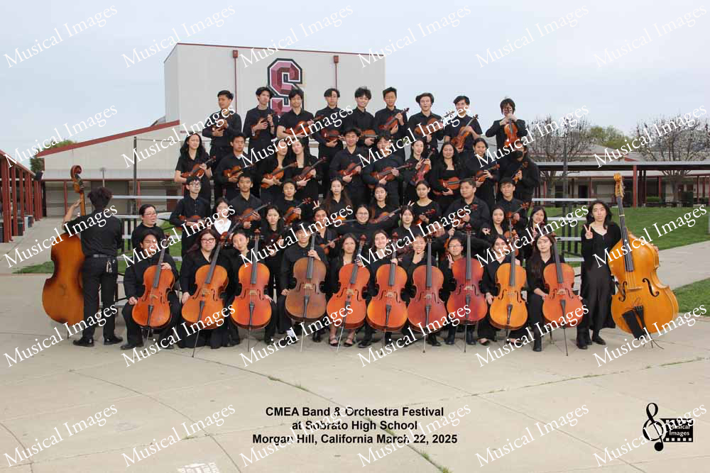 Musical Images